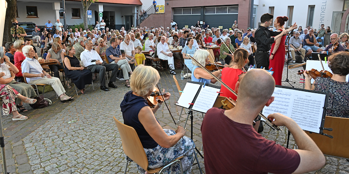 Sommerkonzert
                            2026